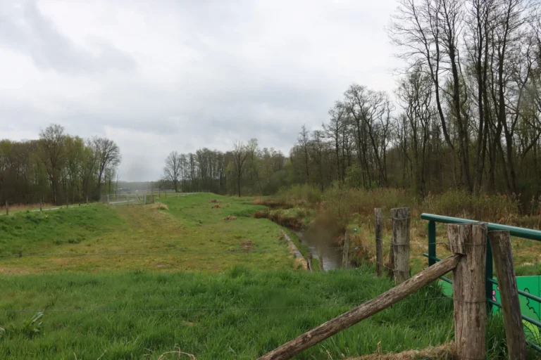Fietsen naar en wandelen door Groot Goor — natuur in Geldrop-Mierlo